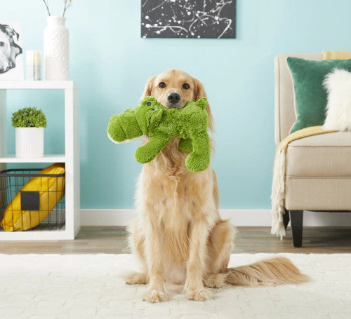 KONG - COZIE ALI 鱷魚仔