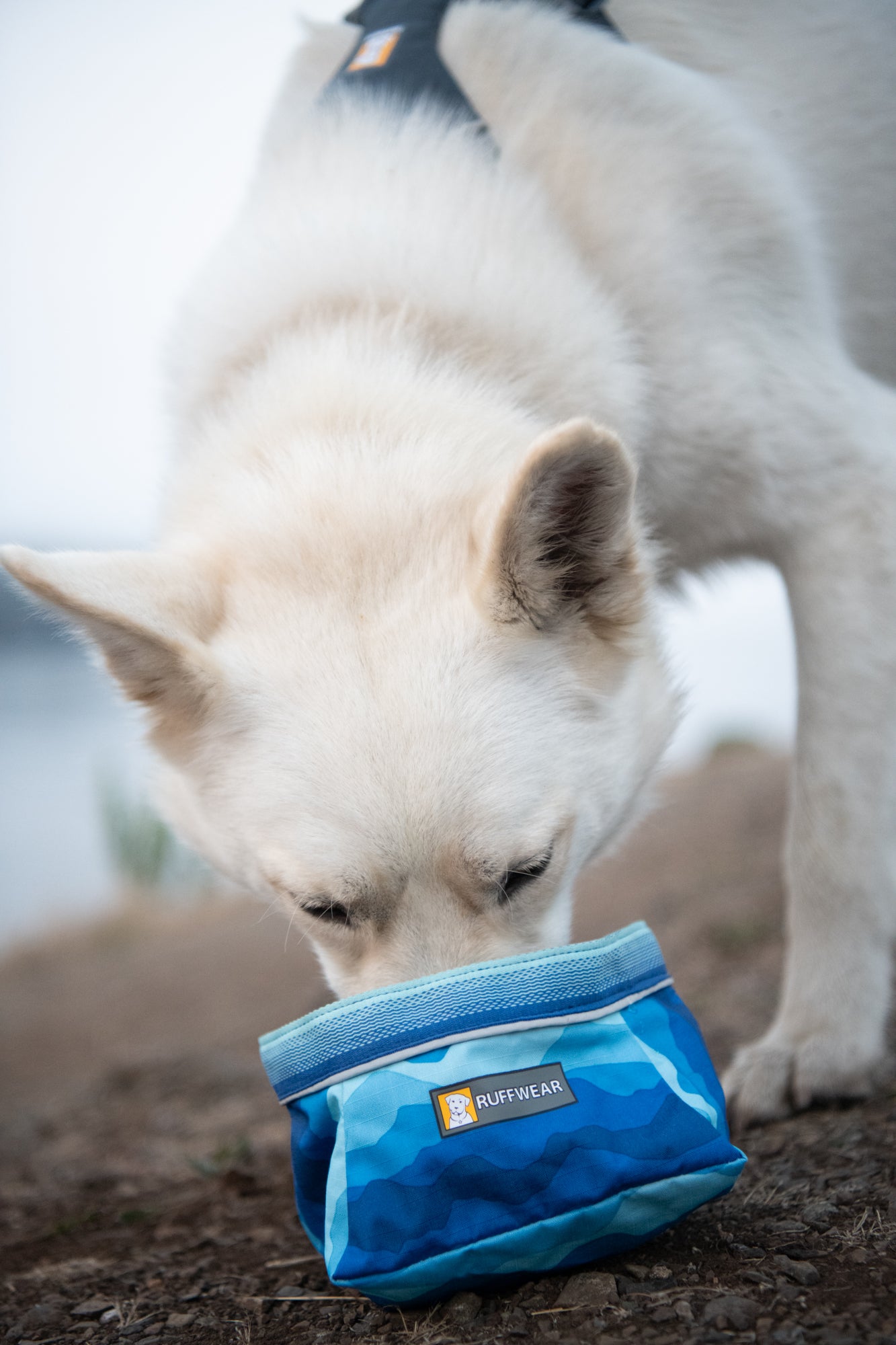 (預訂產品)RUFFWEAR - QUENCHER 狗狗碗 (2024 新款)