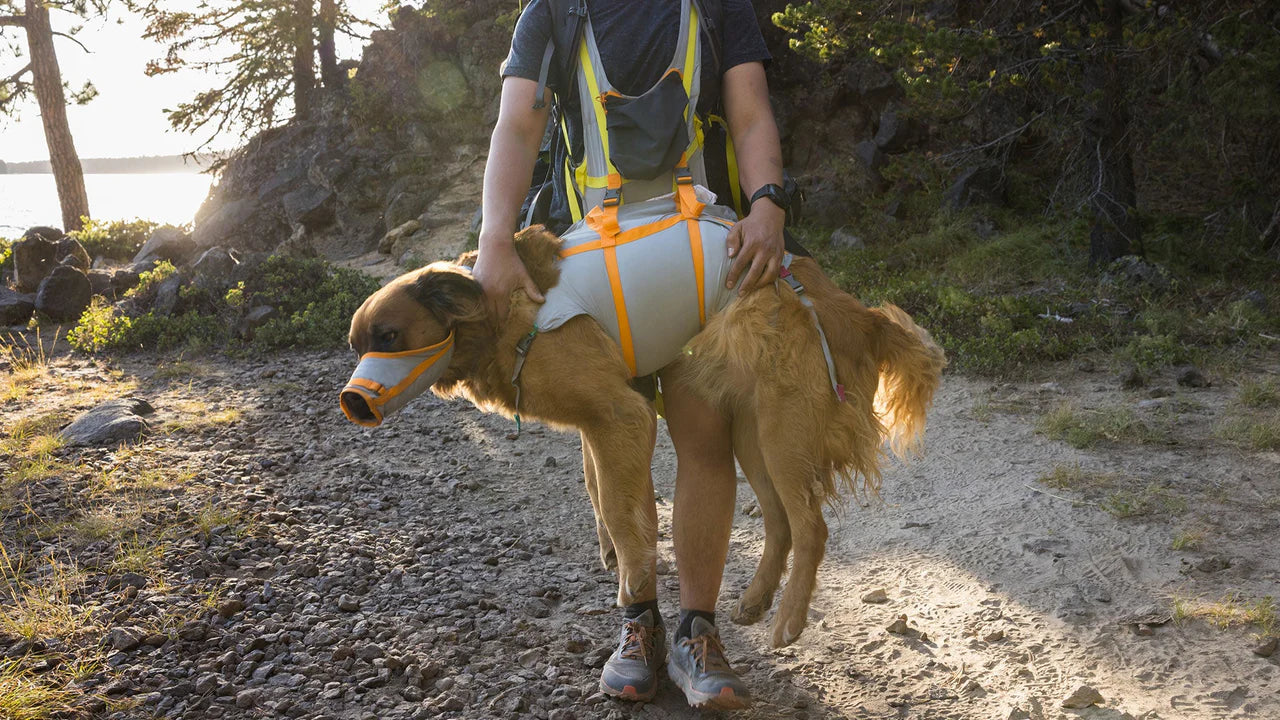RUFFWEAR -BackTrak™ Dog Evacuation Kit 狗狗走佬袋