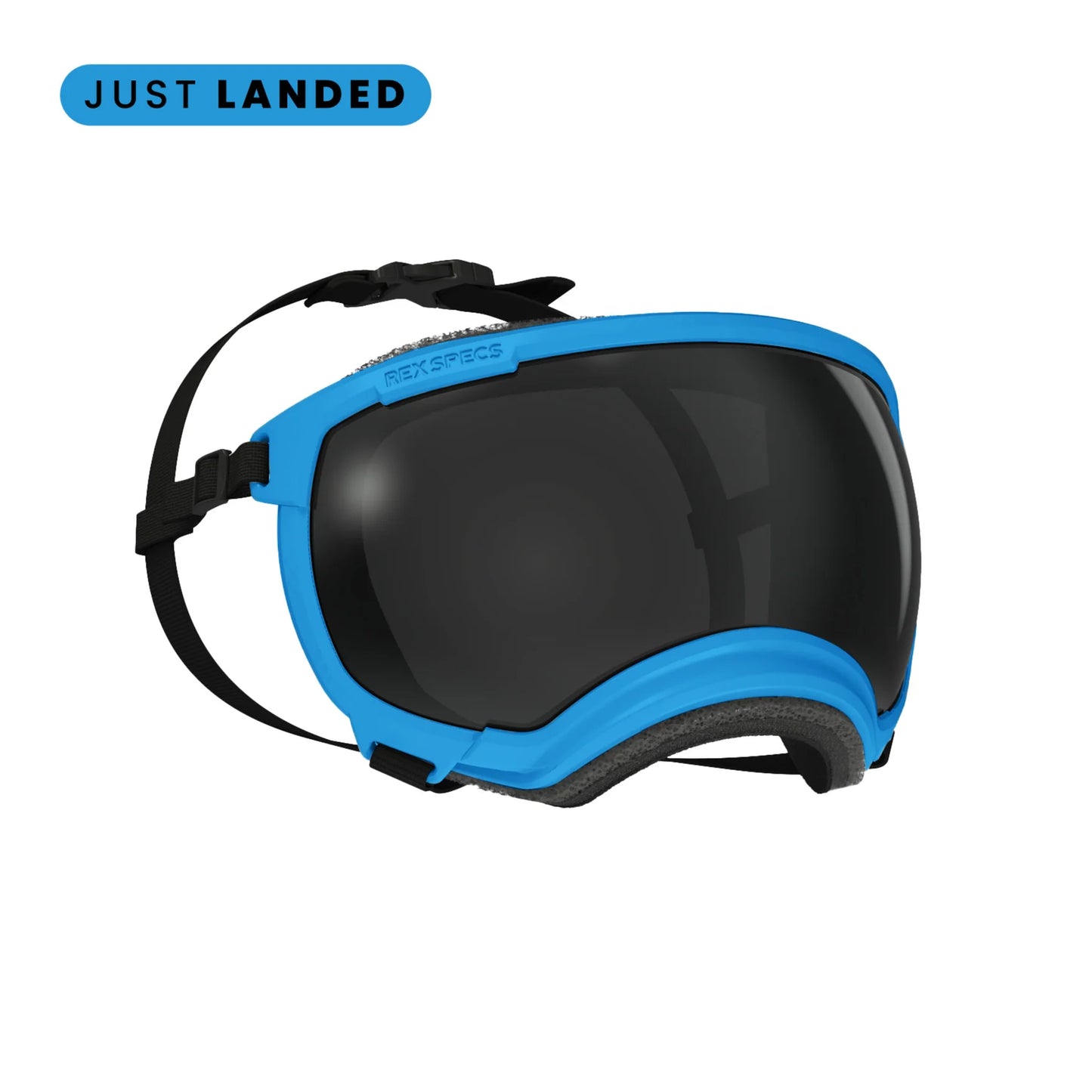rex specs hurricane blue