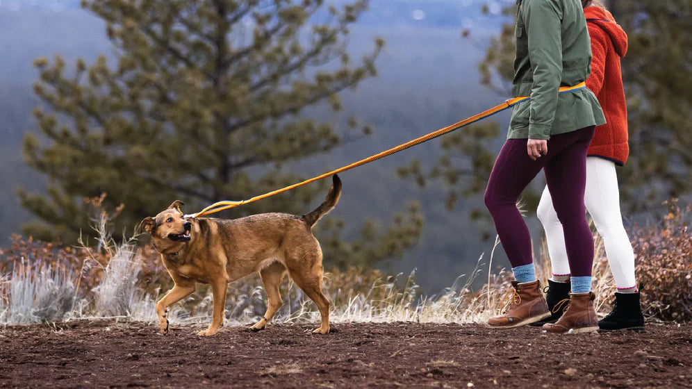 (預訂產品 Pre-order) RUFFWEAR - ROAMER™ 緩衝狗牽繩