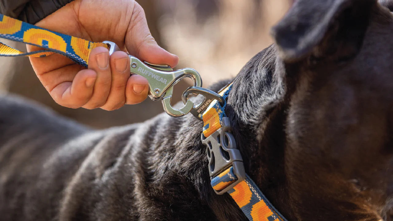 (預訂產品 Pre-Order) RUFFWEAR - CRAG™ REFLECTIVE 反光狗繩