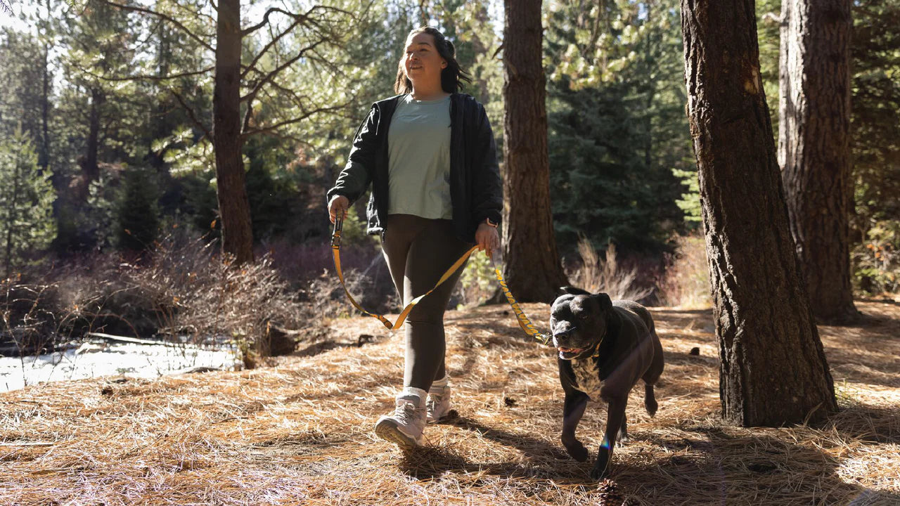 (預訂產品 Pre-Order) RUFFWEAR - CRAG™ REFLECTIVE 反光狗繩