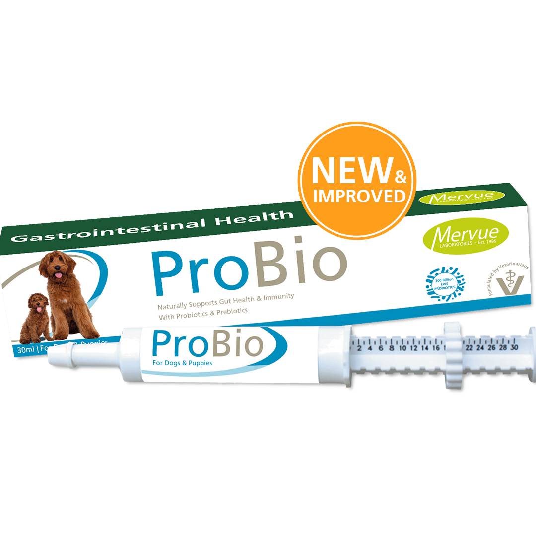 MERVUE - PRO-BIO PROBIOTIC RECOVERY GEL 胃腸爽益生菌康復凝膏