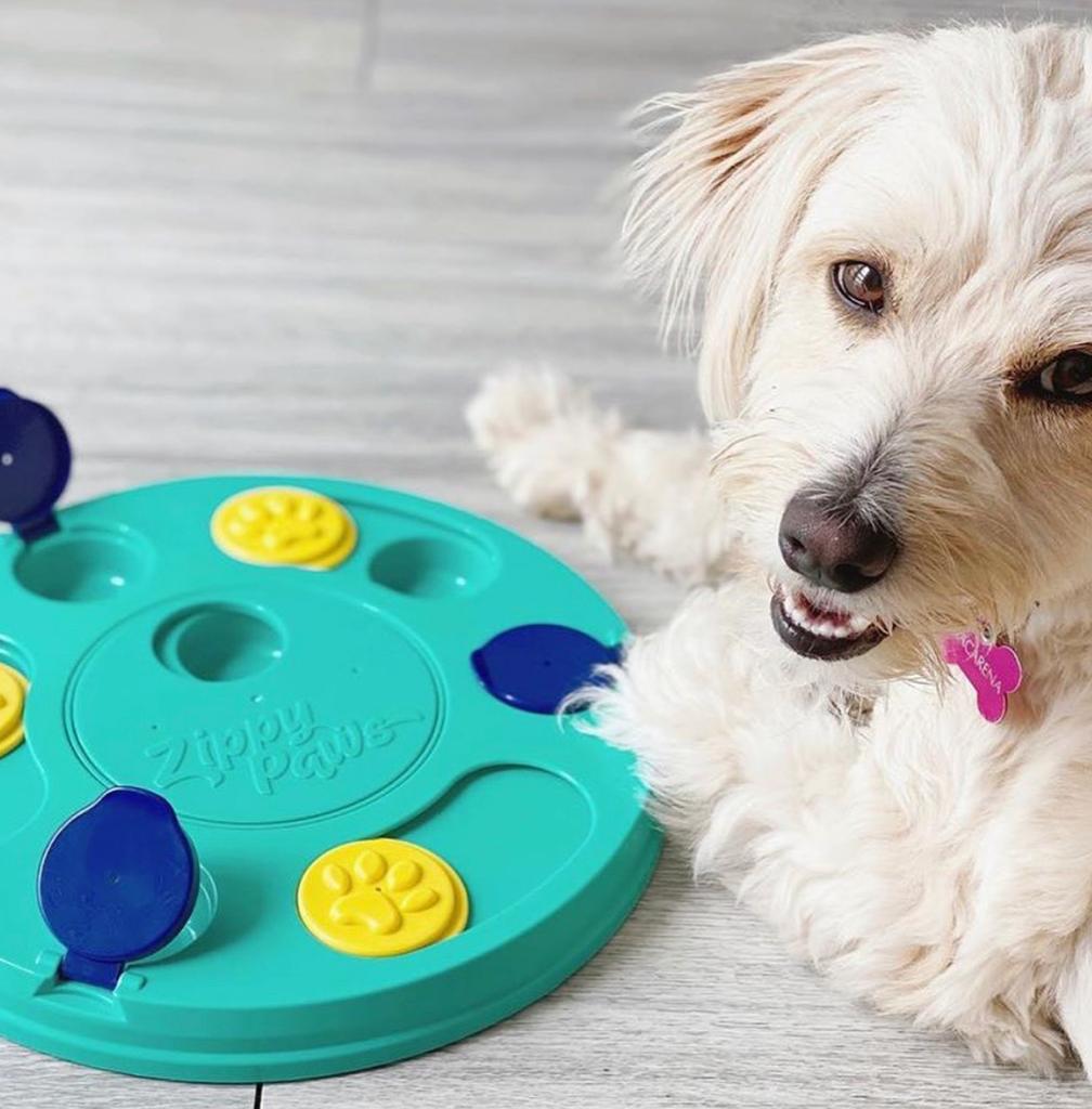 ZIPPY PAWS - SmartyPaws Puzzler 3合1 益智玩具