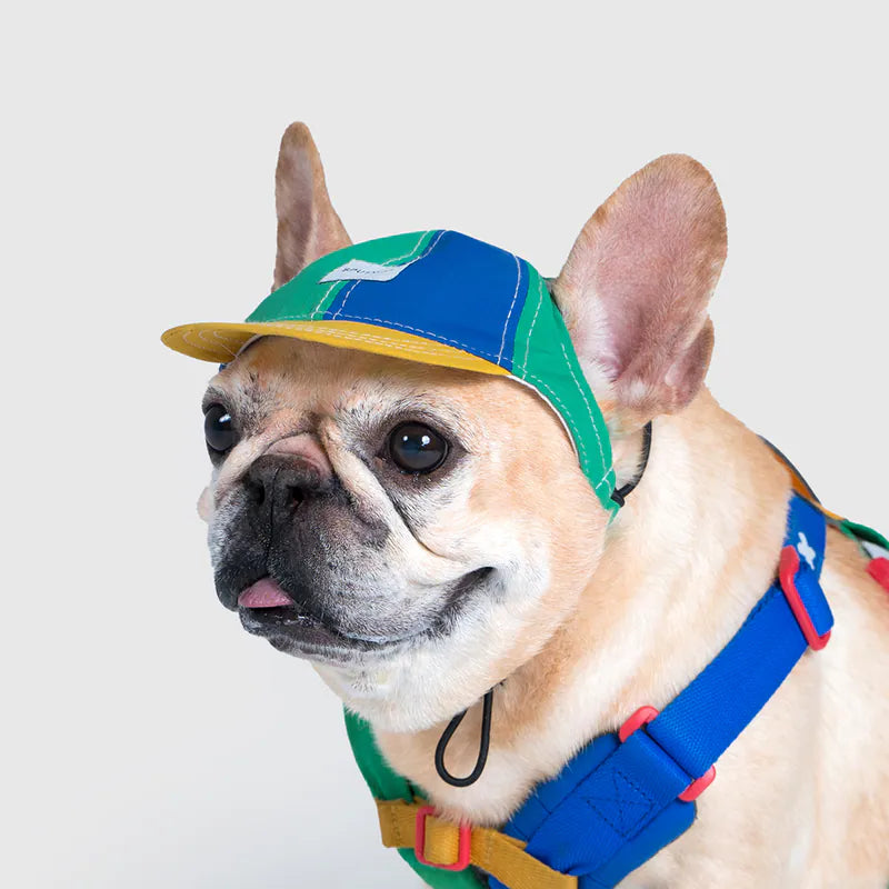 SPUTNIK - 寵物棒球帽 BASEBALL CAP (10th YEAR)