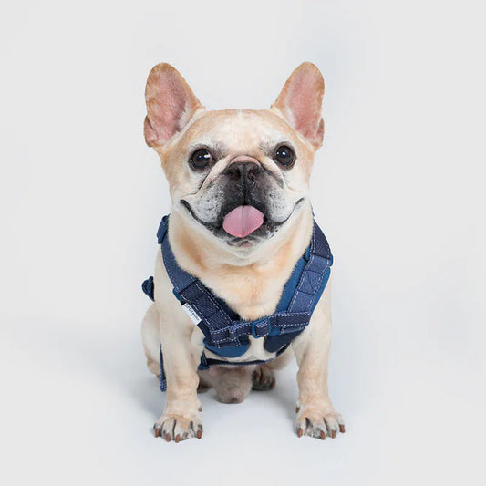 (Pre- Order) SPUTNIK - UNIVERSAL OVERALL 聯名︱丹寧胸背帶