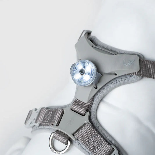 SPUTNIK - Explore| 寵物夜行燈