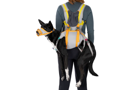 RUFFWEAR -BackTrak™ Dog Evacuation Kit 狗狗走佬袋