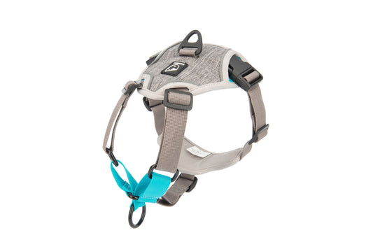 BAUMUTT - IN . LINE NON PULL 狗狗訓練胸背帶