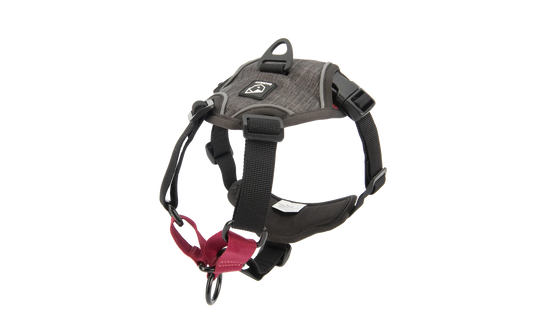 BAUMUTT - IN . LINE NON PULL 狗狗訓練胸背帶