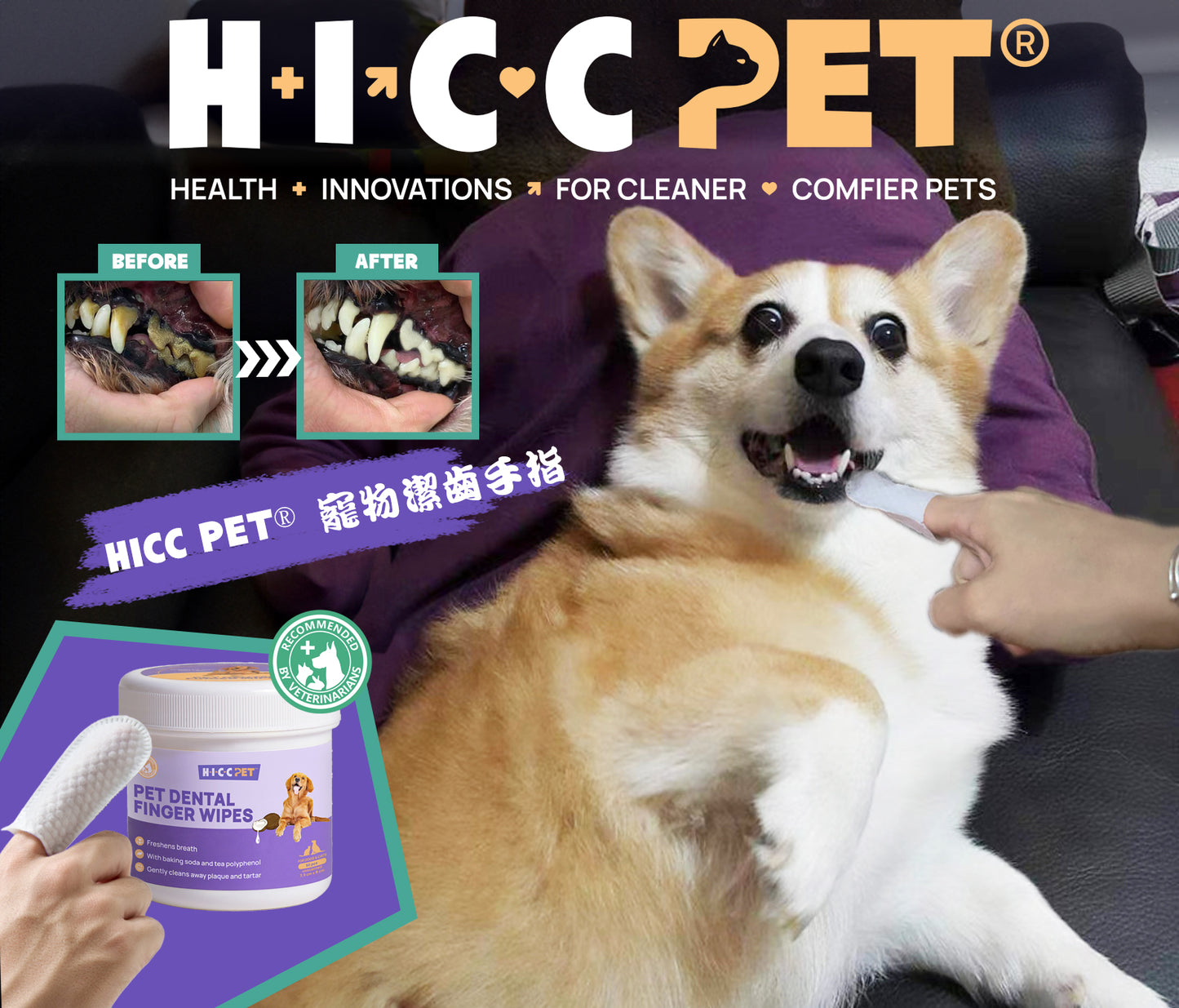 HICC PET - 寵物潔齒手指50片裝 Pet Dental Finger Wipes 50pcs