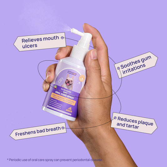 HICC PET - 寵物潔齒噴霧 (150ml) Pet Oral care spray (150ml)