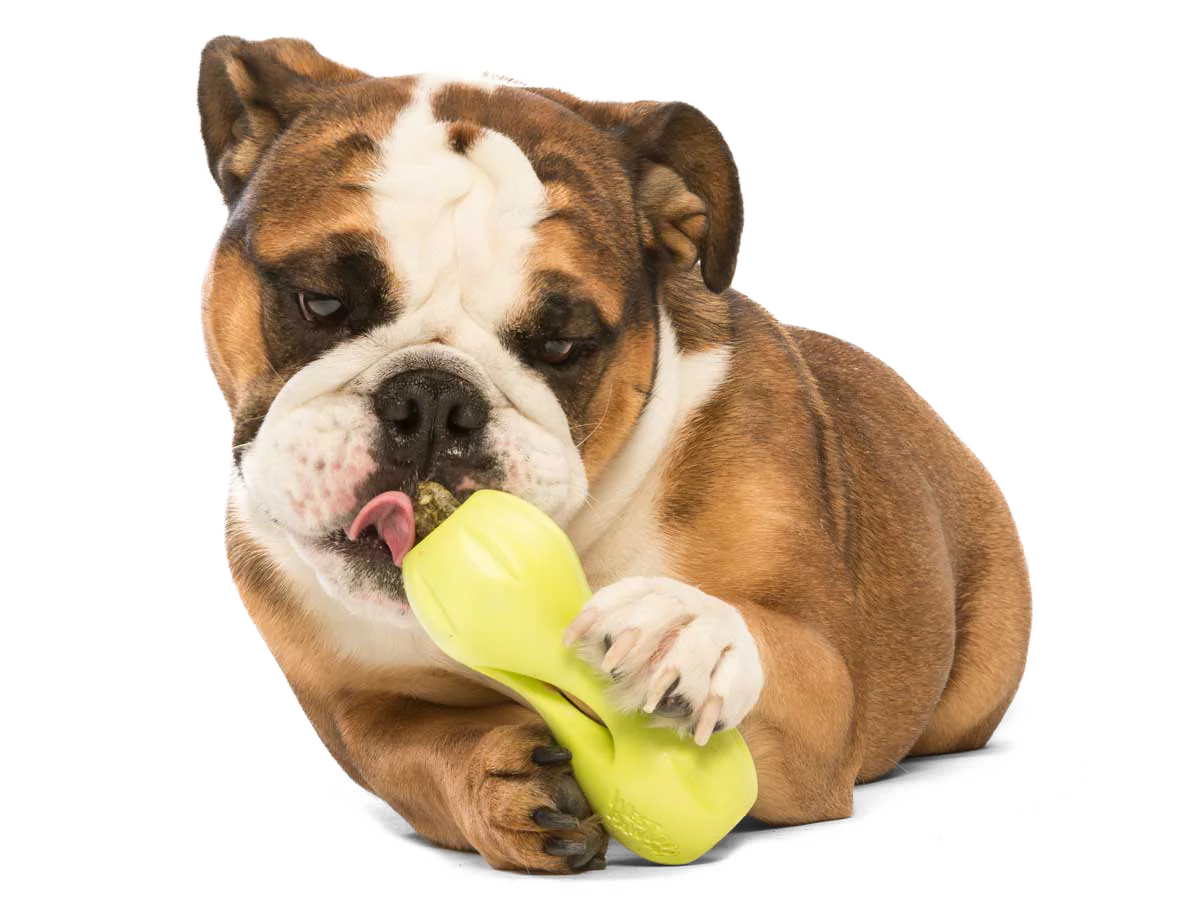 WEST PAW - Qwizl 牛J神器