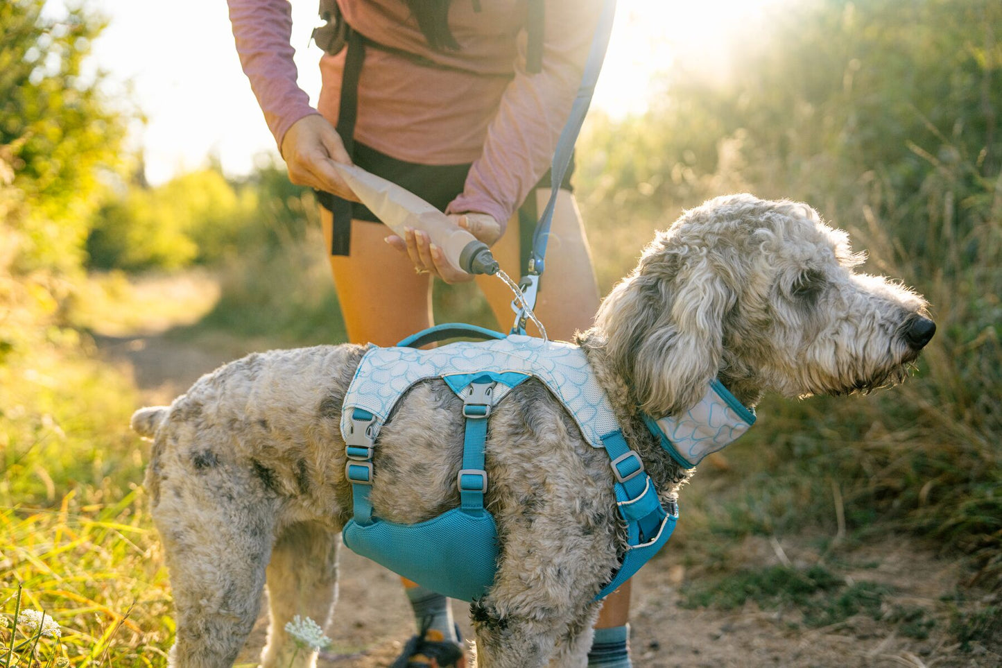 RUFFWEAR - SWAMP COOLER™ 涼涼胸帶 (2025新色) Cooling Harness