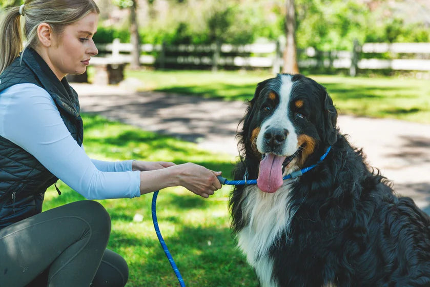 RUFFWEAR - JUST-A-CINCH™ 狗P繩帶 (2024年)