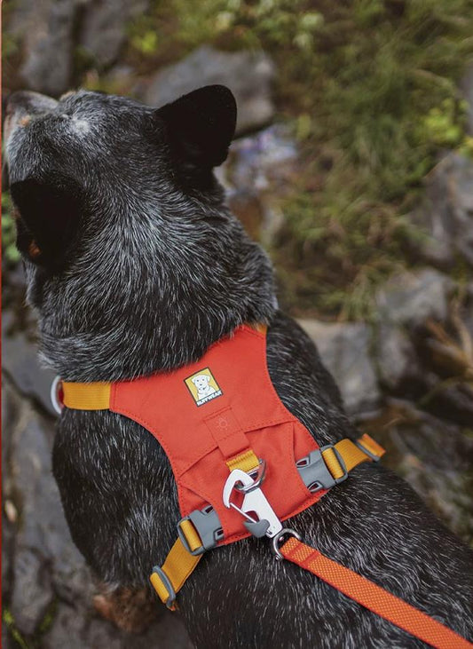 RUFFWEAR -赤岩金輝禮盒(中國代理獨家限量HI & LIGHT™ 輕巧狗狗胸背帶套裝)