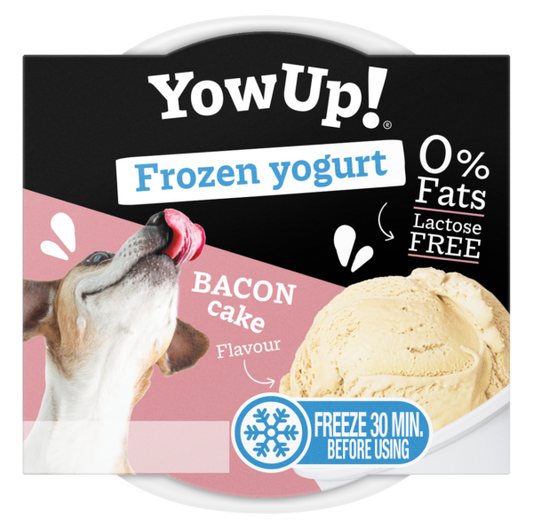 YOWUP! - FROZEN YOGURT 乳酪雪糕