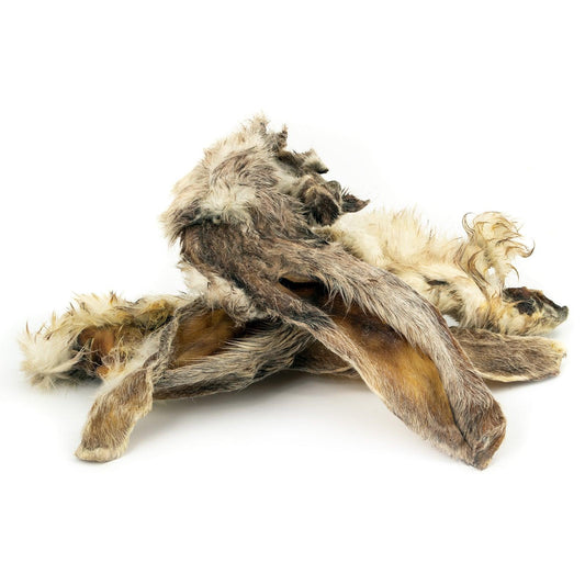 SANADOG - RABBIT EARS WITH HAIR 有毛兔耳朵