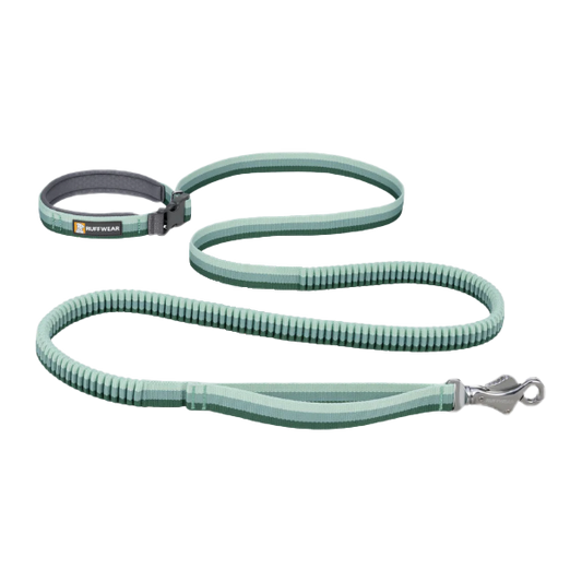 (預訂產品 Pre-order) RUFFWEAR - ROAMER™ 緩衝狗牽繩