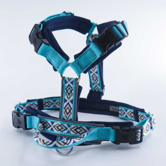 (Pre- Order) PEGAPAWS - TRAILBLAZER HARNESS