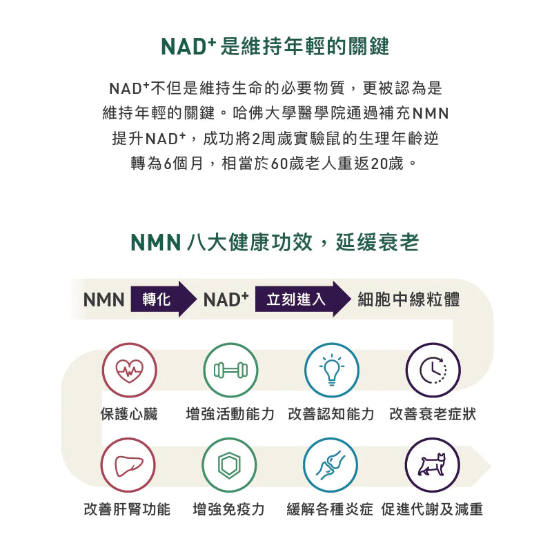 TIMEPLUS+ - Doggy(狗狗)NMN 命活配方 (60粒)