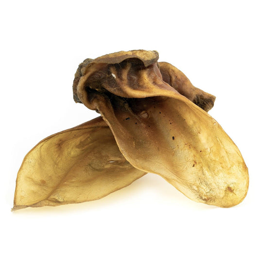 SANADOG - BEEF EARS with muscle and hair 有肌肉有毛牛耳朵