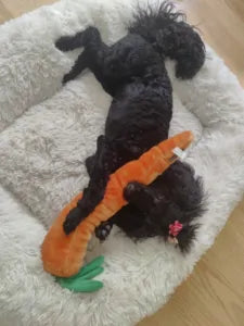 ZIPPY PAWS - Jigglerz® - Carrot 大大條蘿蔔(飛爸妹唔食)