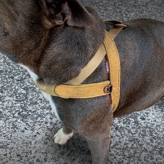 EZYDOG - QUICK FIT™ 快套式胸背帶 (Corduroy)