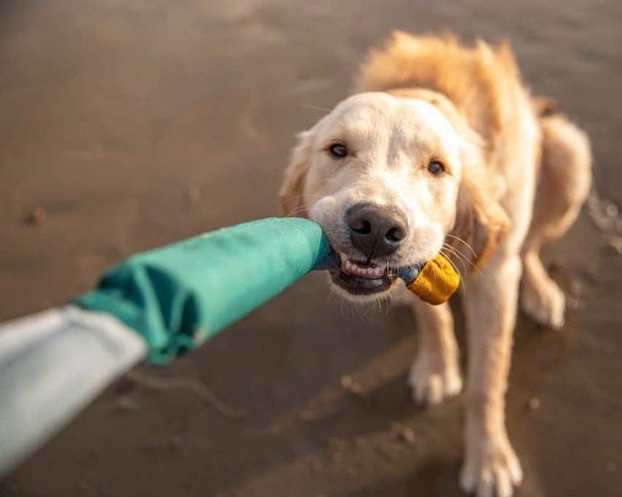 RUFFWEAR - PACIFIC LOOP™ 拉扯棒