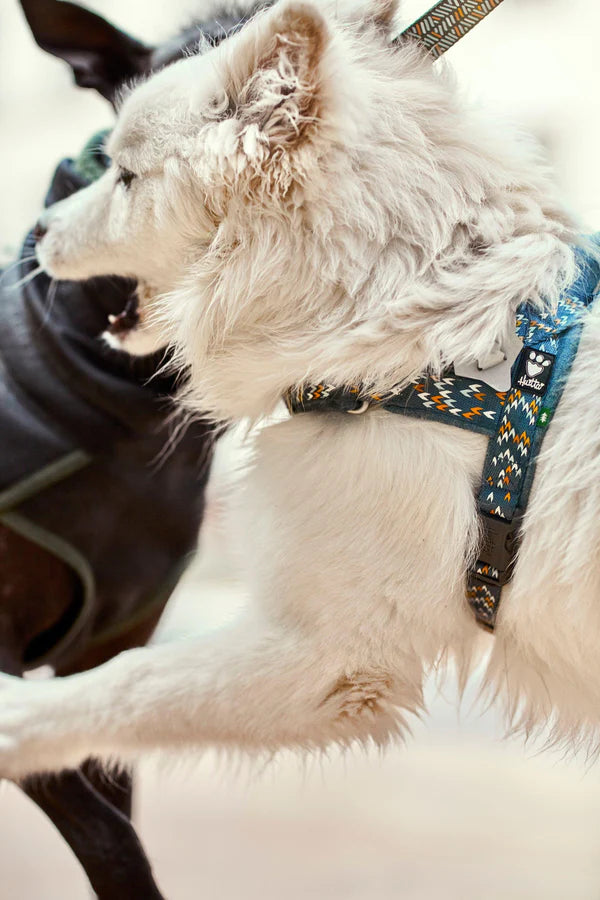 HURTTA - RAZZLE-DAZZLE H字型胸帶