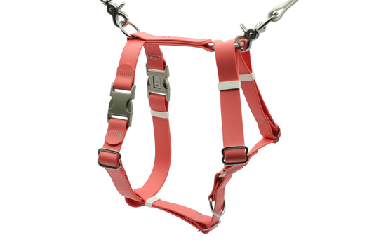 PACKT - ASCENT Harness 防水胸帶 (Spring Collection)