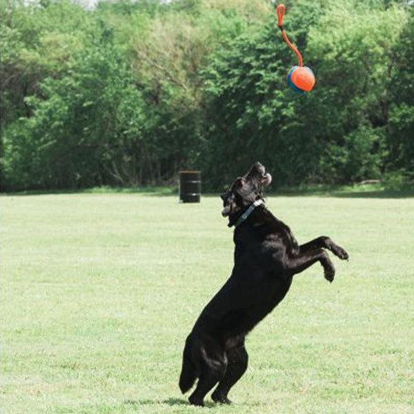 CHUCKIT - ROPE FETCH™ 繩球波波