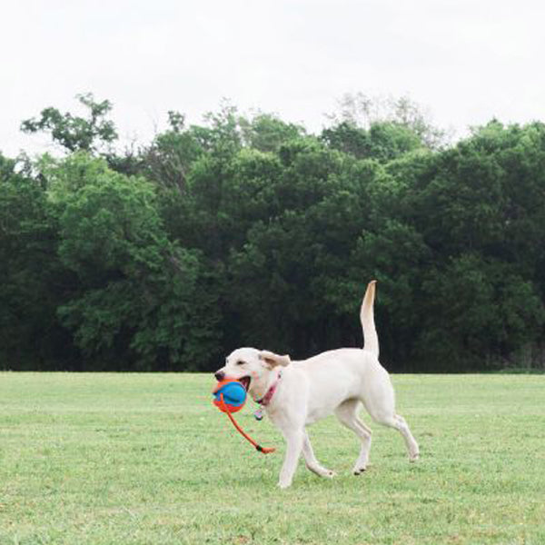 CHUCKIT - ROPE FETCH™ 繩球波波