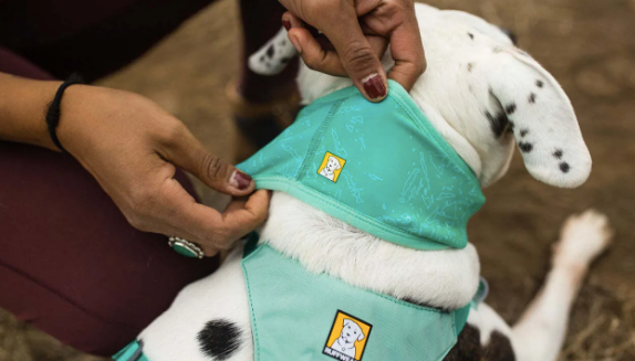 RUFFWEAR - SWAMP COOLER™ 涼涼頸巾