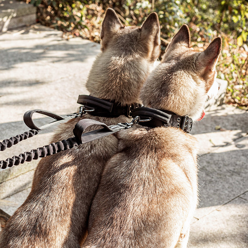 ONETIGRIS - Dog Leash 15 雙頭繩