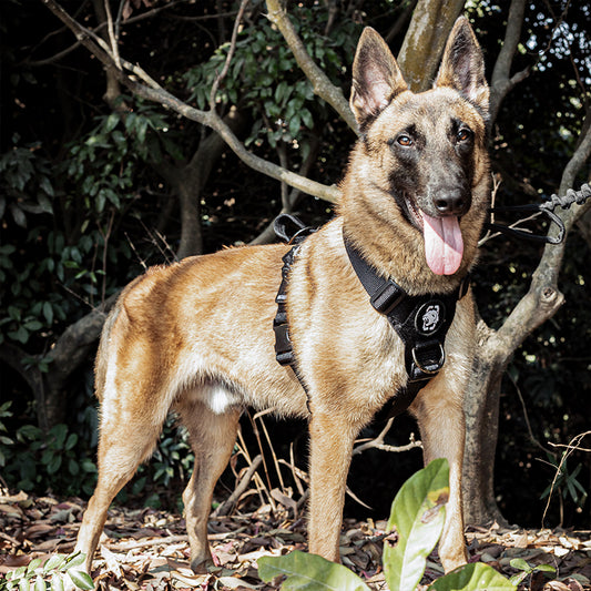 ONETIGRIS - GOLIATH K9 訓練胸帶