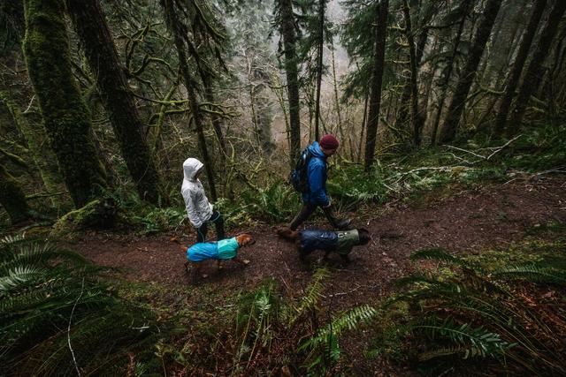 RUFFWEAR - SUN SHOWER™ 狗狗防風雨衣