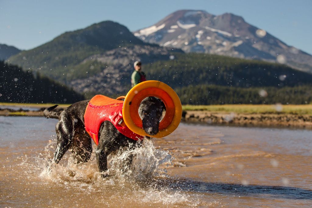 RUFFWEAR - HYDRO PLANE™ 浮水飛碟