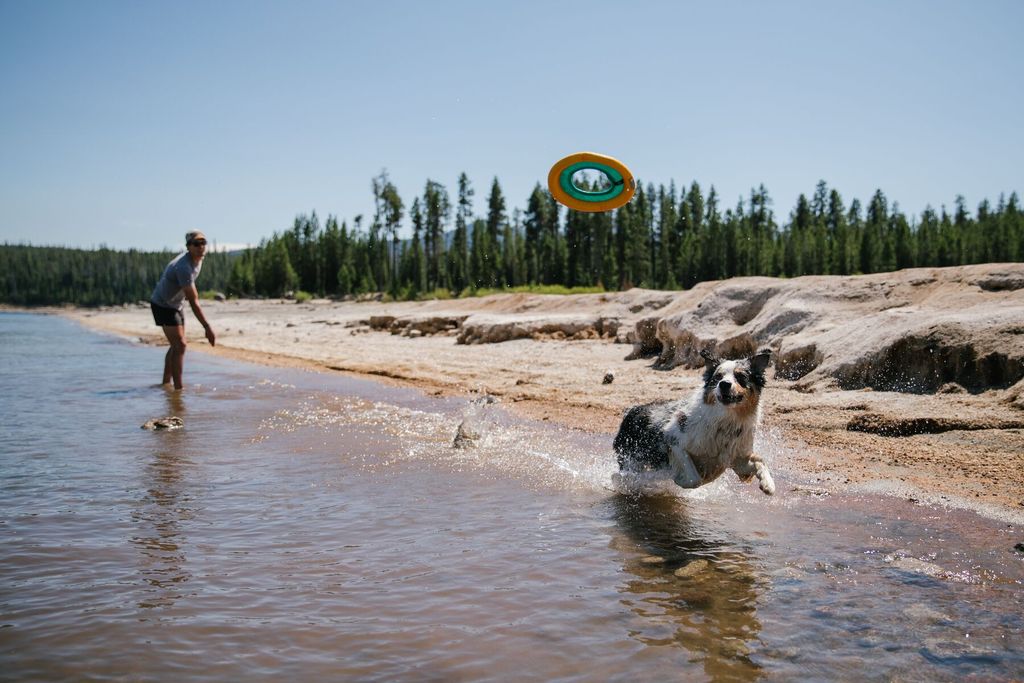 RUFFWEAR - HYDRO PLANE™ 浮水飛碟