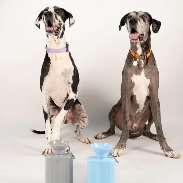 SPRINGER - GROWLER 寵物便携防漏大水樽