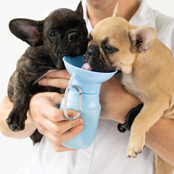 SPRINGER - MINI 寵物便携防漏水樽