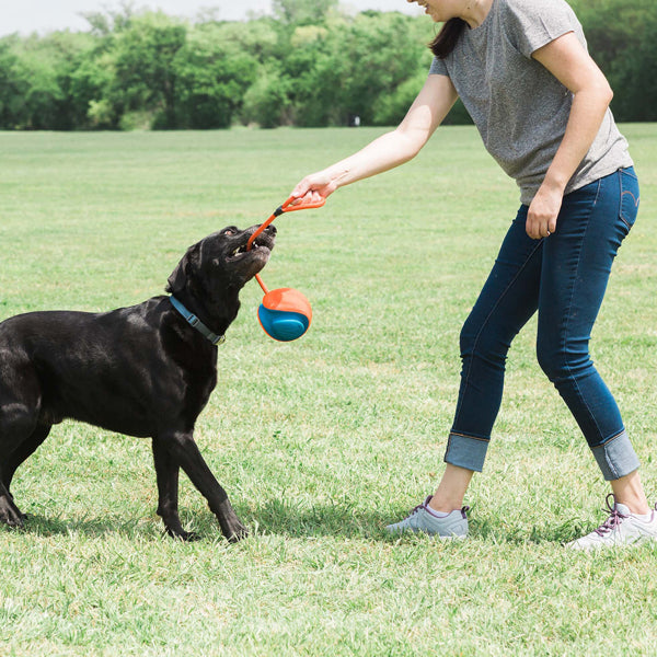 CHUCKIT - ROPE FETCH™ 繩球波波