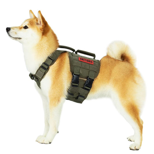 ONETIGRIS - GLADIATOR 支撐型胸帶