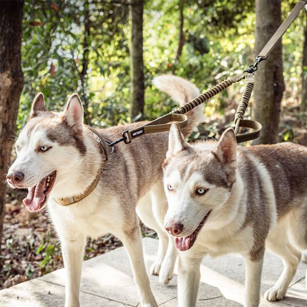 ONETIGRIS - Dog Leash 15 雙頭繩