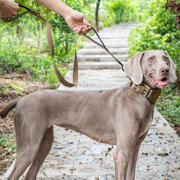 ONETIGRIS - DOG LEASH 16 狗牽繩