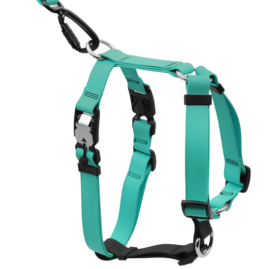 PACKT - ATX Harness 防水胸帶 (M/L/XL)