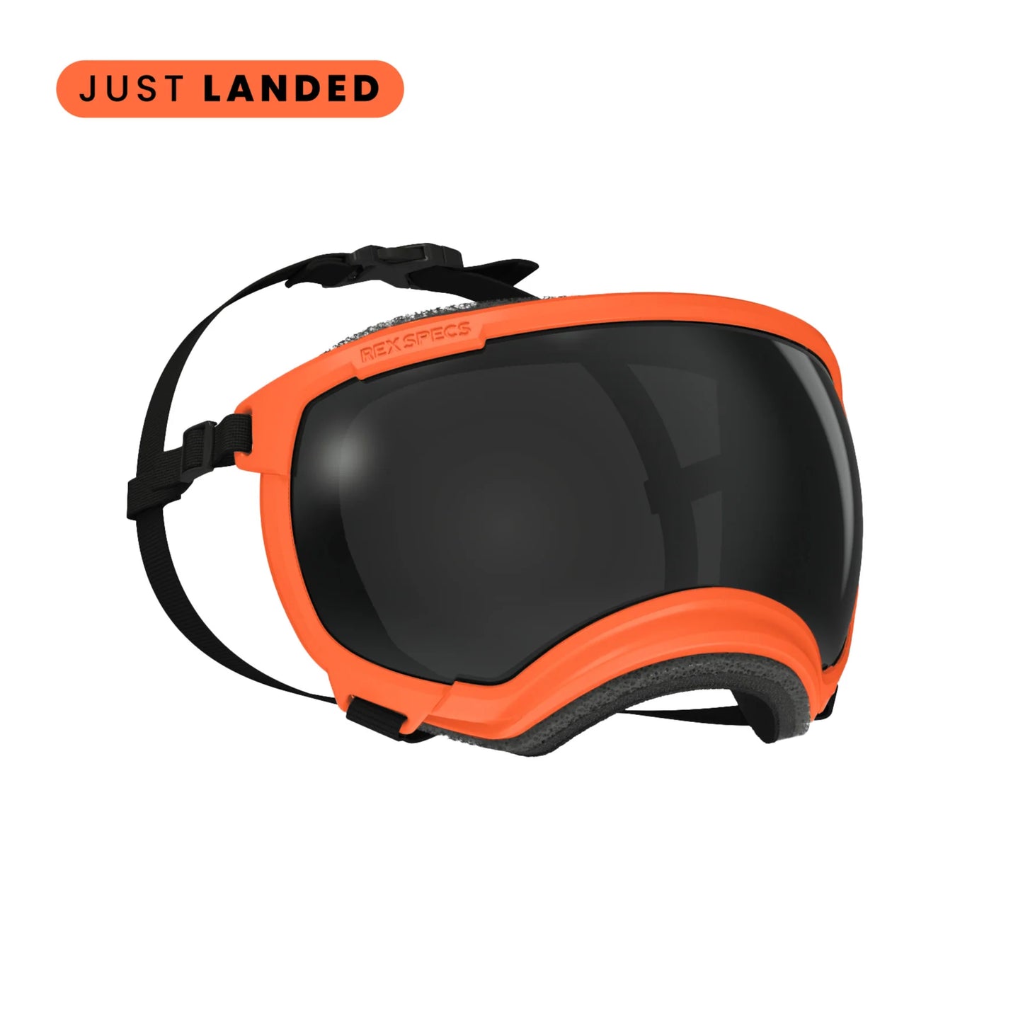 rex specs blaze orange