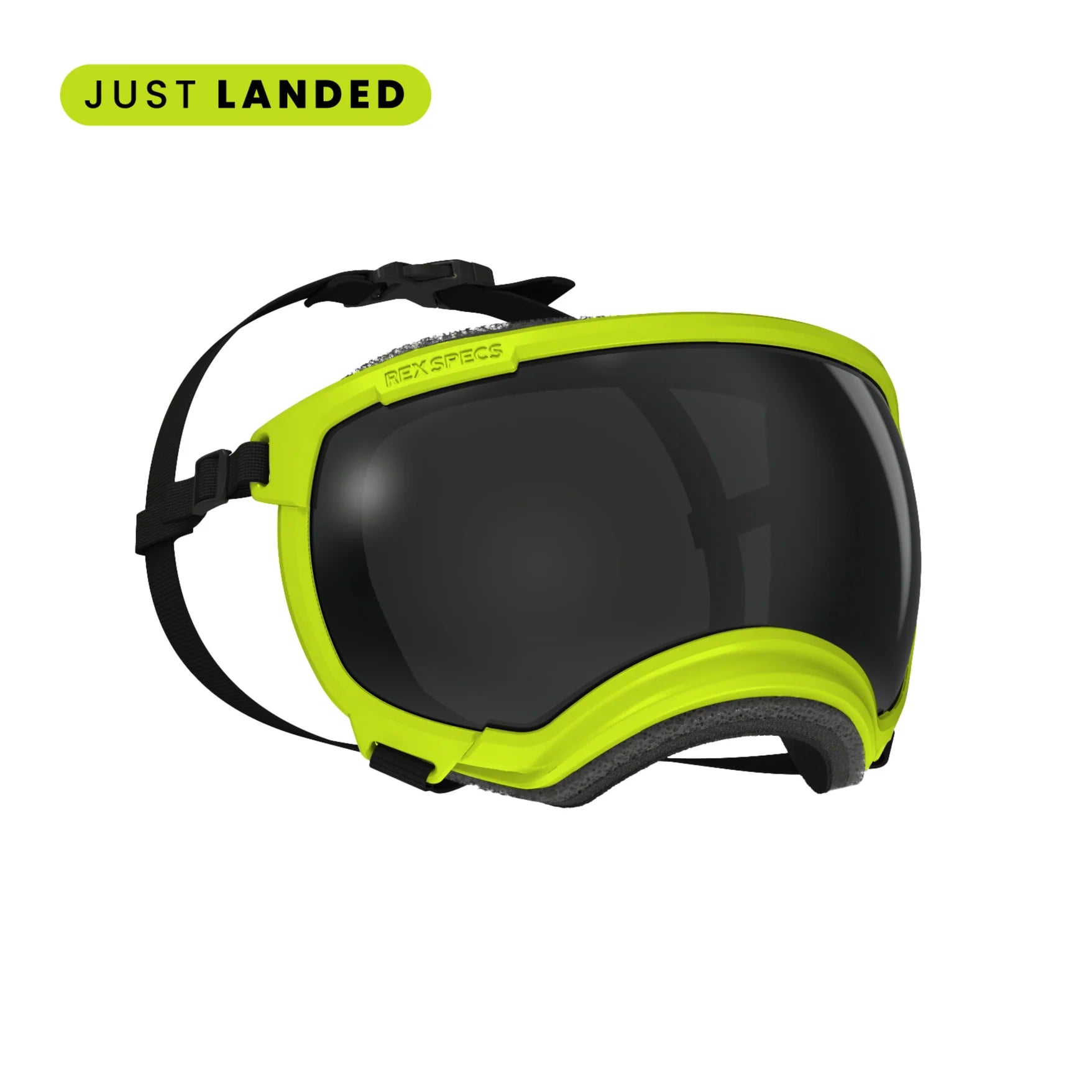 rex specs electic lime