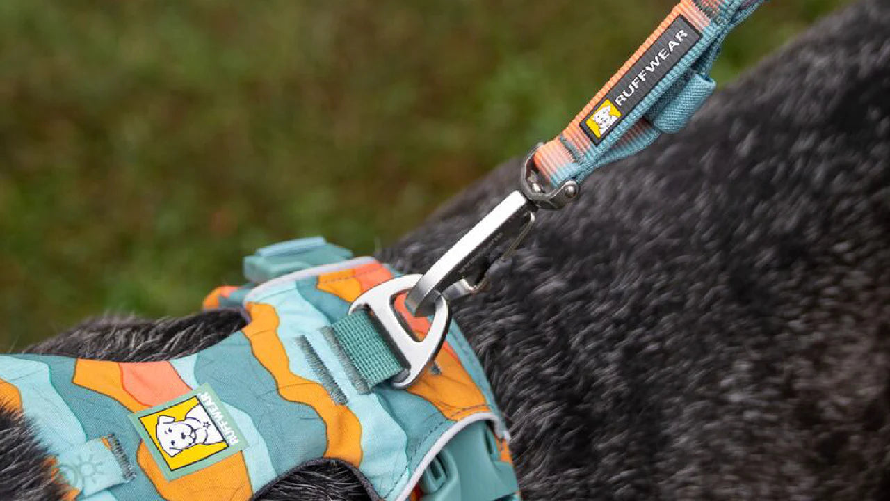 (預訂產品 Pre-Order) RUFFWEAR - FRONT RANGE™ 狗狗短牽繩帶 (2024新款）